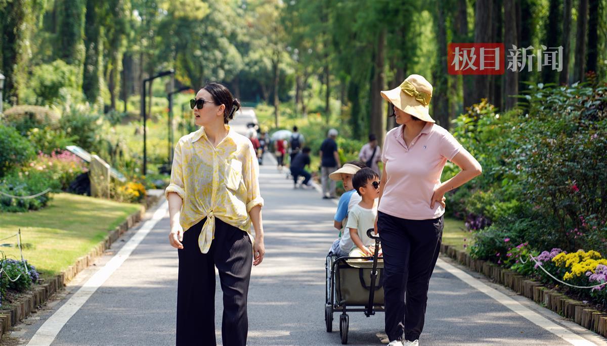 全民捕鱼下载
